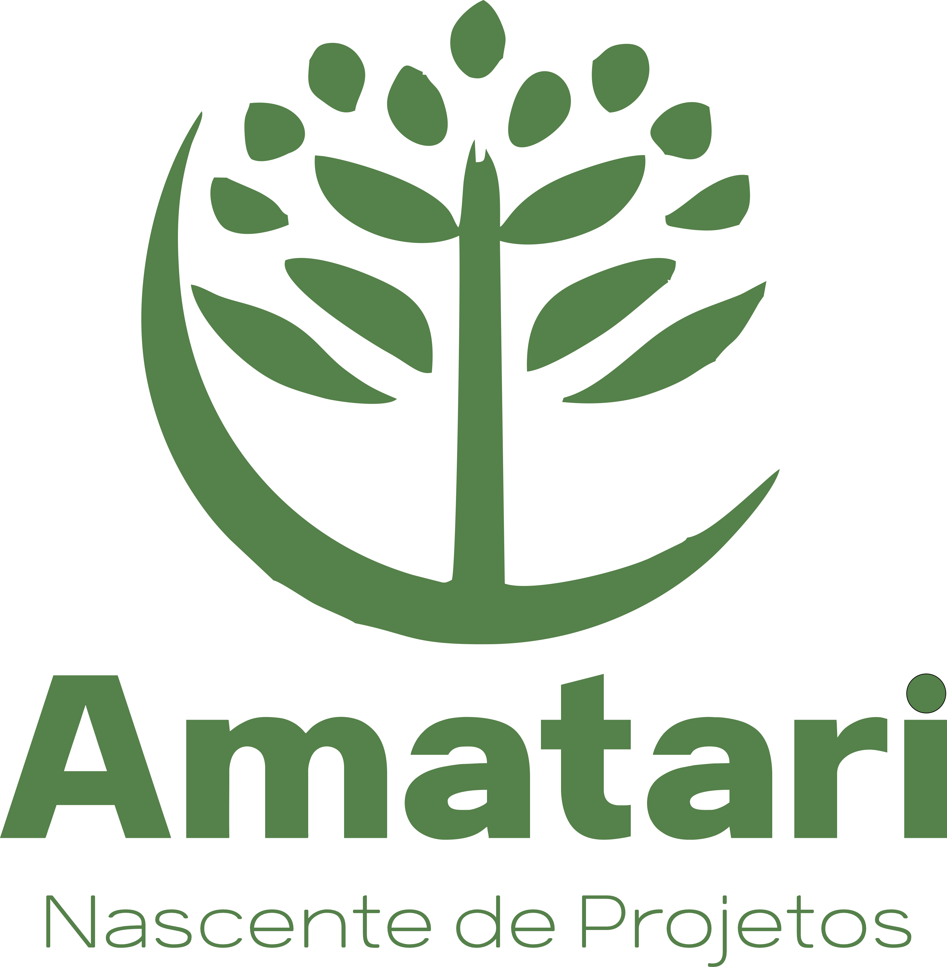 Instituto Amatari